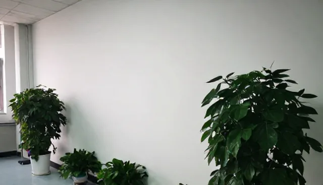 技术升级中的监控机制应用与限制